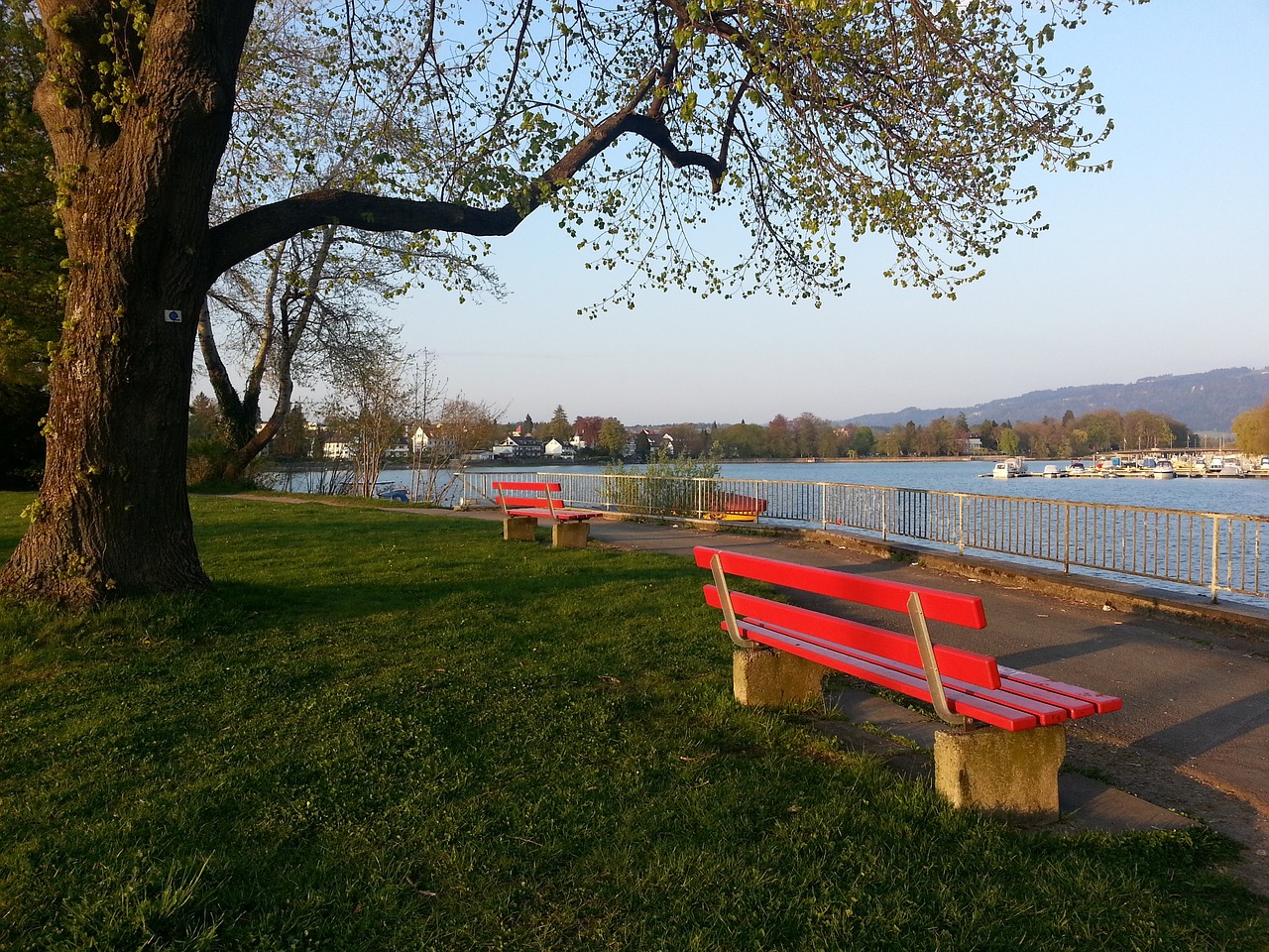 主要归因于 主要归因于