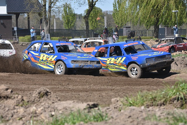 替代选项 替代选项