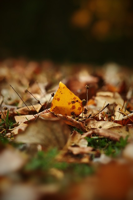 我们不能忽 我们不能忽