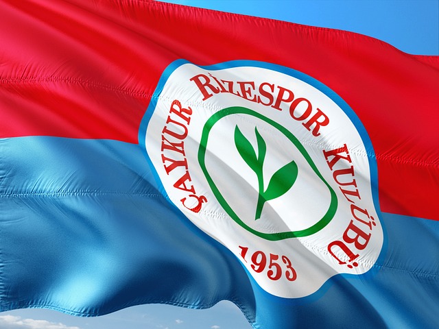 带来了丰厚 带来了丰厚