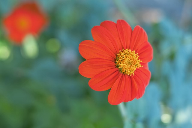 共同期待的 共同期待的