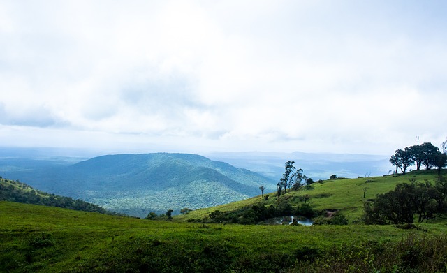 若能以合理 若能以合理