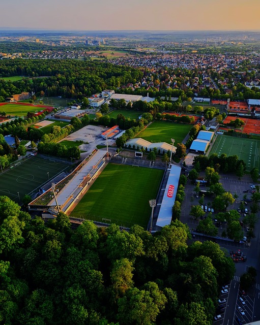 低价引进默 低价引进默