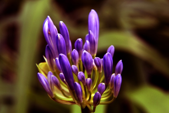 育精神的象 育精神的象