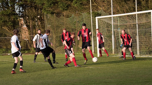 其強大的實 其強大的實