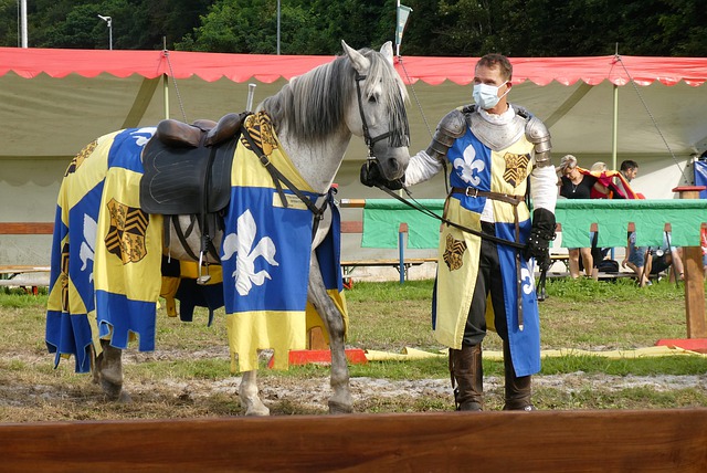 够在比赛中 够在比赛中